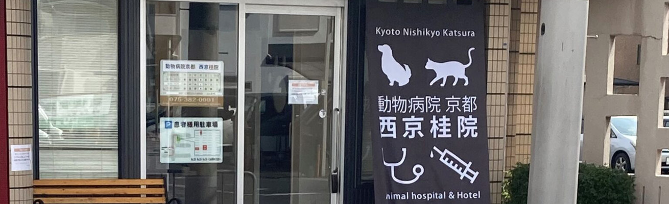 動物病院京都 西京桂の外観
