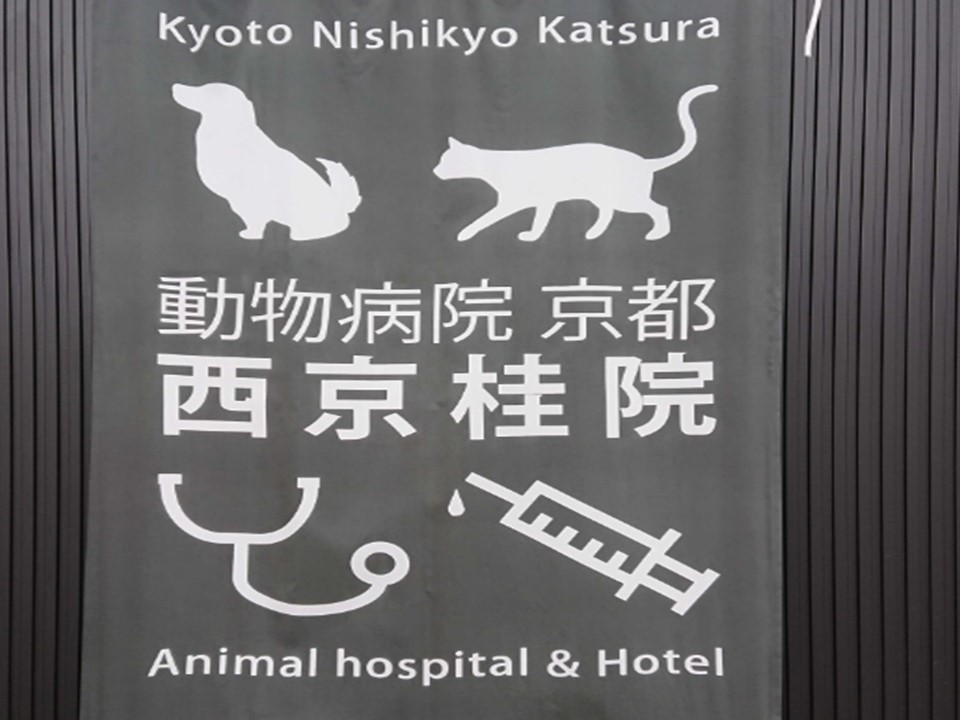 動物病院京都 西京桂 犬 猫 京都市西京区 南区 向日市 右京区