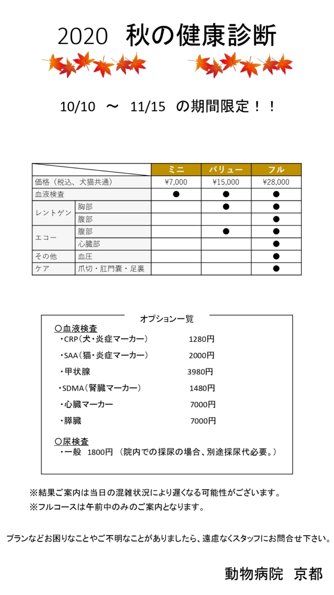 秋の健康診断キャンペーン