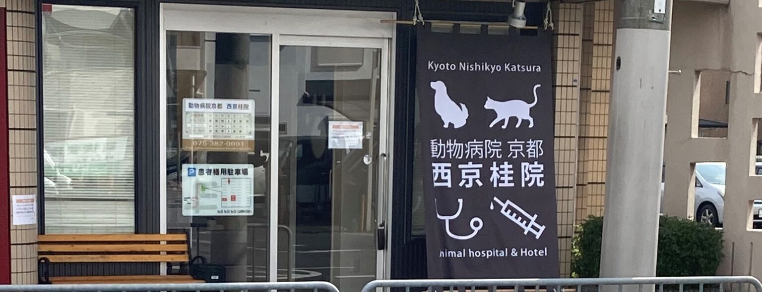 動物病院 京都 西京桂院